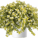 AUTO-DRAFT от Завода ФЛОРА