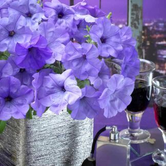 Петуния семенная Evening Scentsation от Завода ФЛОРА