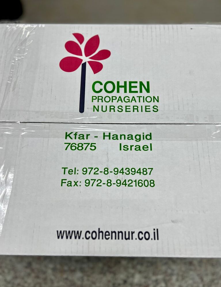 Коробка Cohen крупным планом