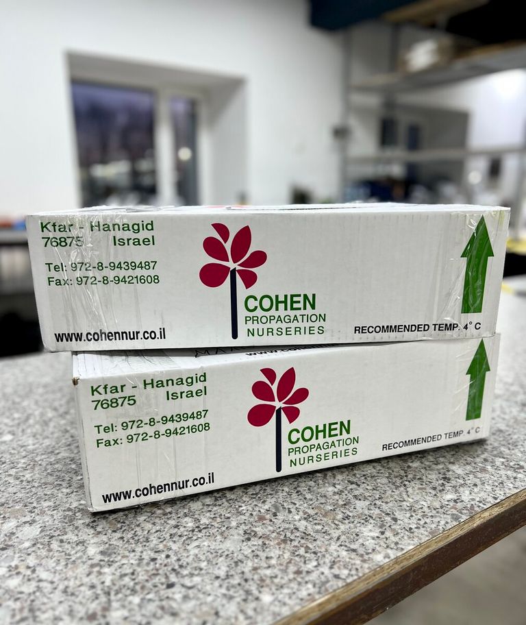 Коробки Cohen Propagation Nurseries для Завода ФЛОРА