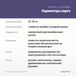 Агератум AGUILERA SKY BLUE (0,1л) — параметры сорта
