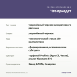 Агератум AGUILERA SKY BLUE (0,1л) — что приедет