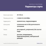 Агератум AGUILERA SKY BLUE (срез/5шт.) — параметры сорта