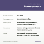 Агератум AGUILERA SKY BLUE (срез/5шт.) — параметры сорта