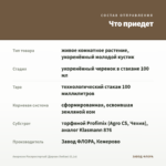 Аихризон Распростертый (Дерево Любви) (0,1л) — что приедет
