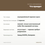 Аихризон (срез/1шт) — что приедет