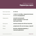 Алиссум Easy Breezy Pink (0,1л) — параметры сорта