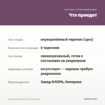 Алиссум Easy Breezy Pink (срезы/5шт) — что приедет