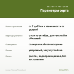 Алиссум Primavera Princess (0,1л) — параметры сорта
