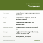 Алиссум Primavera Princess (0,1л) — что приедет