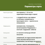 Алиссум Primavera Princess (0,1л) — параметры сорта
