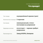 Алиссум Primavera Princess (срезы/5шт) — что приедет