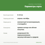 Алиссум Primavera Princess (срезы/5шт) — параметры сорта