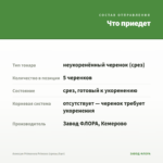 Алиссум Primavera Princess (срезы/5шт) — что приедет