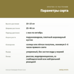 Алиссум Сhampagne Stream (0,1л) — параметры сорта