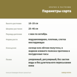Алиссум Сhampagne Stream (срезы/5 шт) — параметры сорта
