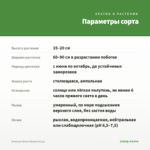 Алиссум Silver Stream (0,1л) — параметры сорта