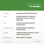 Алиссум Silver Stream (0,1л) — что приедет