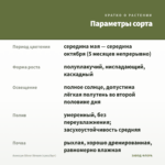 Алиссум Silver Stream (срез/5шт) — параметры сорта