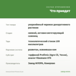 Алиссум Snow Princess (0,1л) — что приедет