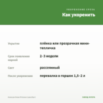 Алиссум Snow Princess (срез/5шт) — как укоренить черенок