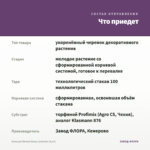 Алиссум Stream Deep Lavender (0,1л) — что приедет