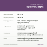 Алиссум Stream Deep Lavender (0,1л) — параметры сорта