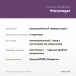 Алиссум Stream Deep Lavender (срез/5шт) — что приедет