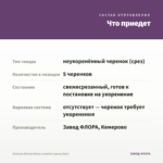 Алиссум Stream Deep Lavender (срезы/5шт) — что приедет