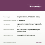 Алиссум Stream Purple (срезы/5шт) — что приедет