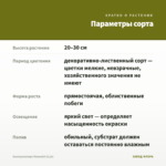 Альтернантера Reineckii (0,1л) — параметры сорта