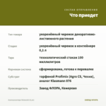 Альтернантера Reineckii (0,1л) — что приедет