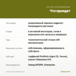 Альтернантера Reineckii (0,1л) — что приедет