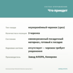 Альтернантера Reineckii Amoena (срезы/3шт.) — что приедет