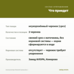 Альтернантера Reineckii (срезы/3шт.) — что приедет