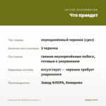 Альтернантера Reineckii (срезы/3шт.) — что приедет