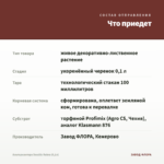 Альтернантера Sessilis Rubra (0,1л) — что приедет