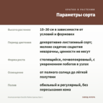 Альтернантера Sessilis Rubra (срезы/3шт.) — параметры сорта