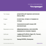 Ангелония Adessa Blue (0,1л) — что приедет