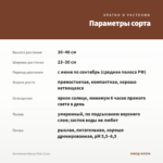 Ангелония Adessa Pink (0,1л) — параметры сорта