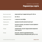 Ангелония Adessa Pink (срезы/5шт) — параметры сорта