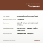 Ангелония Adessa Pink (срезы/5шт) — что приедет