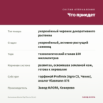 Ангелония Alonia Big Cherry (0,1л) — что приедет