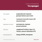 Ангелония Alonia Big Cherry (0,1л) — что приедет