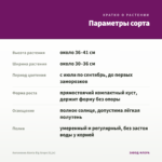 Ангелония Alonia Big Grape (0,1л) — параметры сорта