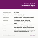 Ангелония Alonia Big Grape (срезы/5шт) — параметры сорта