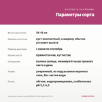 Ангелония узколистная Big Bicolor Pink Improved (0,1л) — параметры сорта