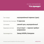 Ангелония узколистная Big Bicolor Pink Improved (срез/5шт) — что приедет