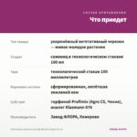 Ангелония узколистная Big Bicolor Purple (0,1л) — что приедет
