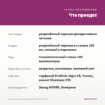 Ангелония узколистная Big Bicolor Purple (0,1л) — что приедет